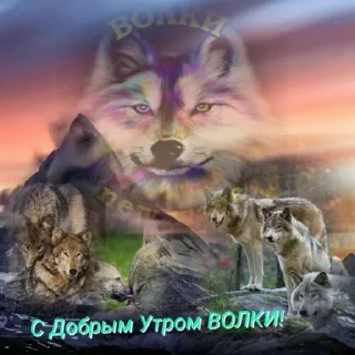 Sticker from утро и ночь