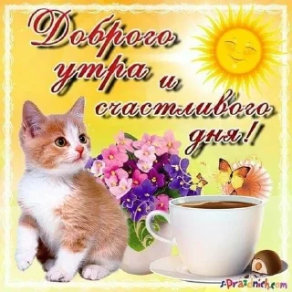 Sticker from утро и ночь