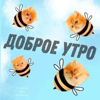 Sticker from утро и ночь