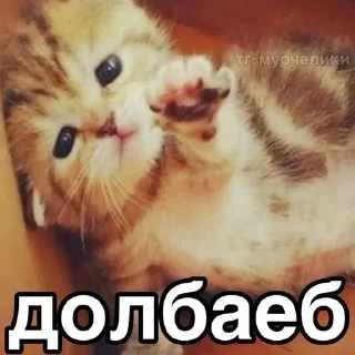 🌟 emoji муд Telegram sticker 24 of 66