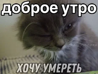 🌟 emoji муд Telegram sticker 22 of 66