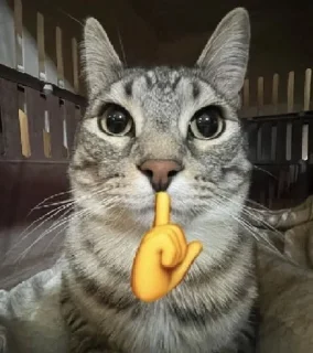 ☝️ emoji муд Telegram sticker 18 of 66