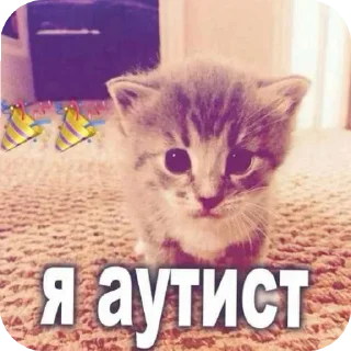 kittens✨ sticker 4