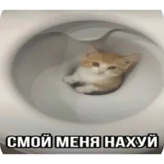 Sticker from Котеке