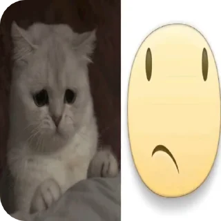 Sticker from мили котеке