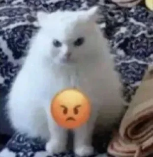 Sticker from vital cats
