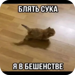 Sticker from Котеке