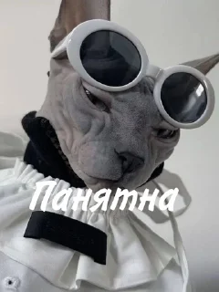 Лыси пон sticker 3