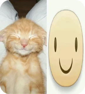 Sticker from мили котеке