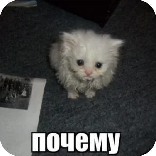 Sticker from Котеке