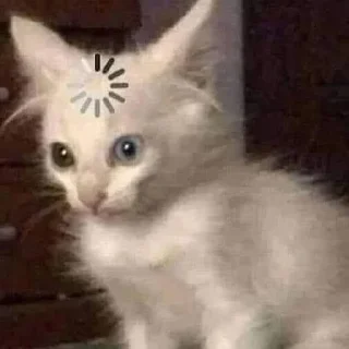коти^^) sticker 2