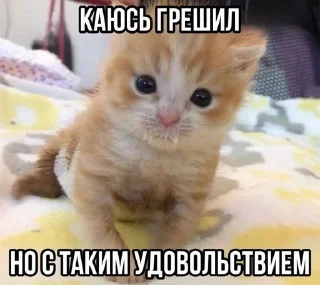 🌟 emoji коти^^) Telegram sticker 23 of 63