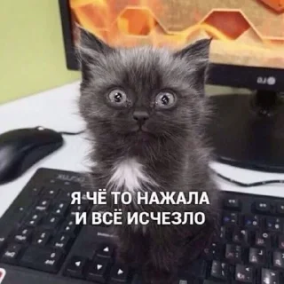 🌟 emoji коти^^) Telegram sticker 22 of 63