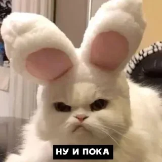 коти^^) sticker 4