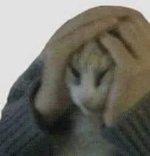Sticker from vital cats