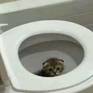 Sticker from Котейки