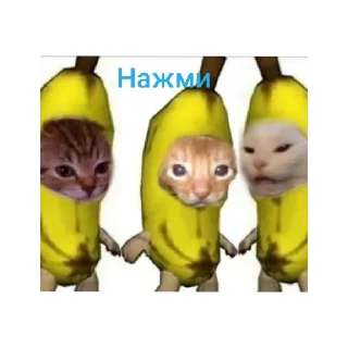 Sticker from Котейки