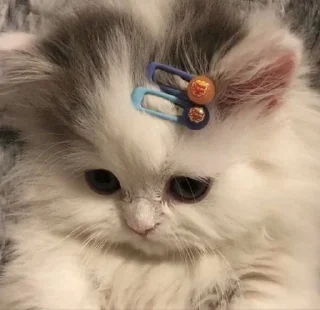 Sticker from Кофетейки))