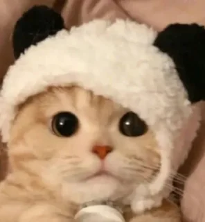 Sticker from Кофетейки))