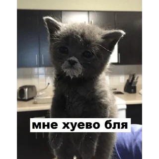 Sticker from Ы