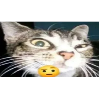 🤨 emoji Ы Telegram sticker 23 of 32