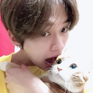 😯 emoji мемы мемы мемы кпоп мемы Telegram sticker 7 of 99