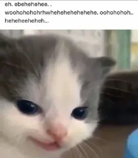 ☺️ emoji Нутычего Telegram sticker 6 of 120