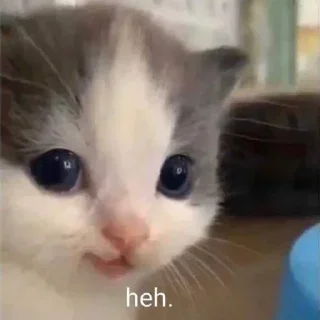 😊 emoji Нутычего Telegram sticker 5 of 120