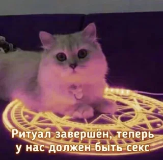 Sticker from Люблю..не скажу