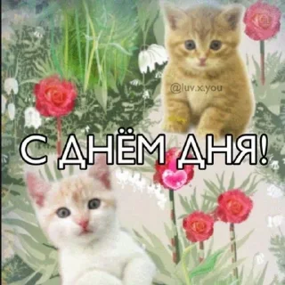 😺 emoji Favorite stickers Telegram sticker 19 of 58