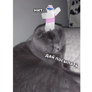 😿 emoji Бедны Эпик 😥 Telegram sticker 13 of 16