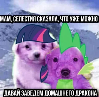 🌟 emoji Я пони а ты нет смирись)) Telegram sticker 6 of 37