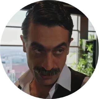 😏 emoji Yali capkini seyfer Telegram sticker 9 of 10