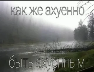 Sticker from Шиза от @Biba_675 @TgEmodziBot