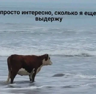 🗿 emoji порыв кринжа Telegram sticker 9 of 104
