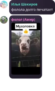 Sticker from Ванеркисты 🇺🇿 pack by @QuotLyBot