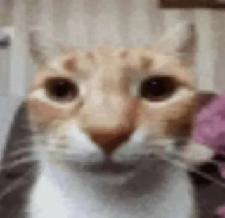 👊 emoji окак Telegram sticker 10 of 119