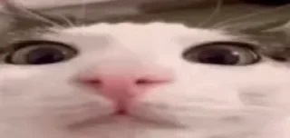 😳 emoji окак Telegram sticker 16 of 119