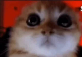 😡 emoji окак Telegram sticker 22 of 119
