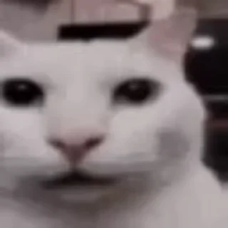 😶 emoji окак Telegram sticker 3 of 119