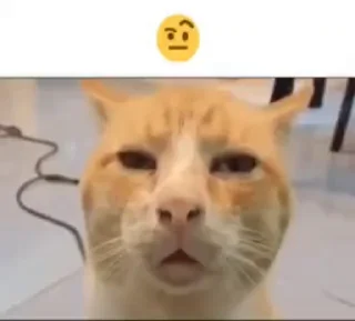 🤨 emoji окак Telegram sticker 12 of 119