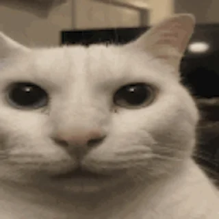 😨 emoji окак Telegram sticker 20 of 119