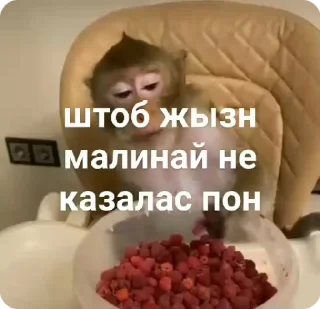 Sticker from гифки, но стикеры