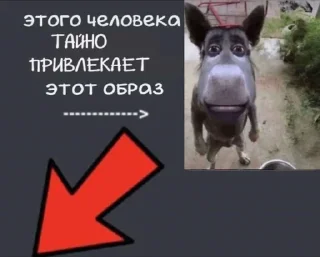 😎 emoji -Стикер пак йоу Telegram sticker 8 of 50