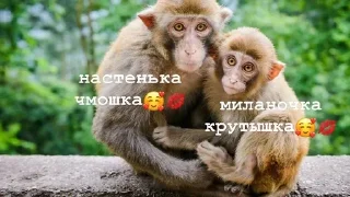🥰 emoji версикл миланочка Telegram sticker 7 of 23