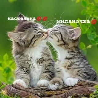 💋 emoji версикл миланочка Telegram sticker 12 of 23