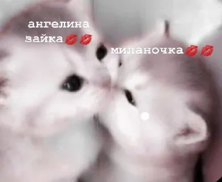 💘 emoji версикл миланочка Telegram sticker 21 of 23