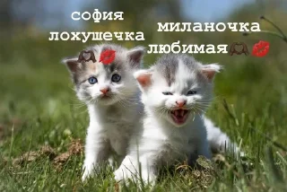 🥰 emoji версикл миланочка Telegram sticker 18 of 23