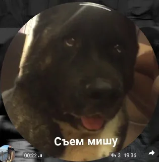 Sticker from Бомбастеры