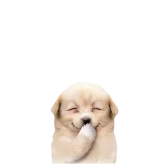🌟 emoji girlblogging Telegram sticker 8 of 120